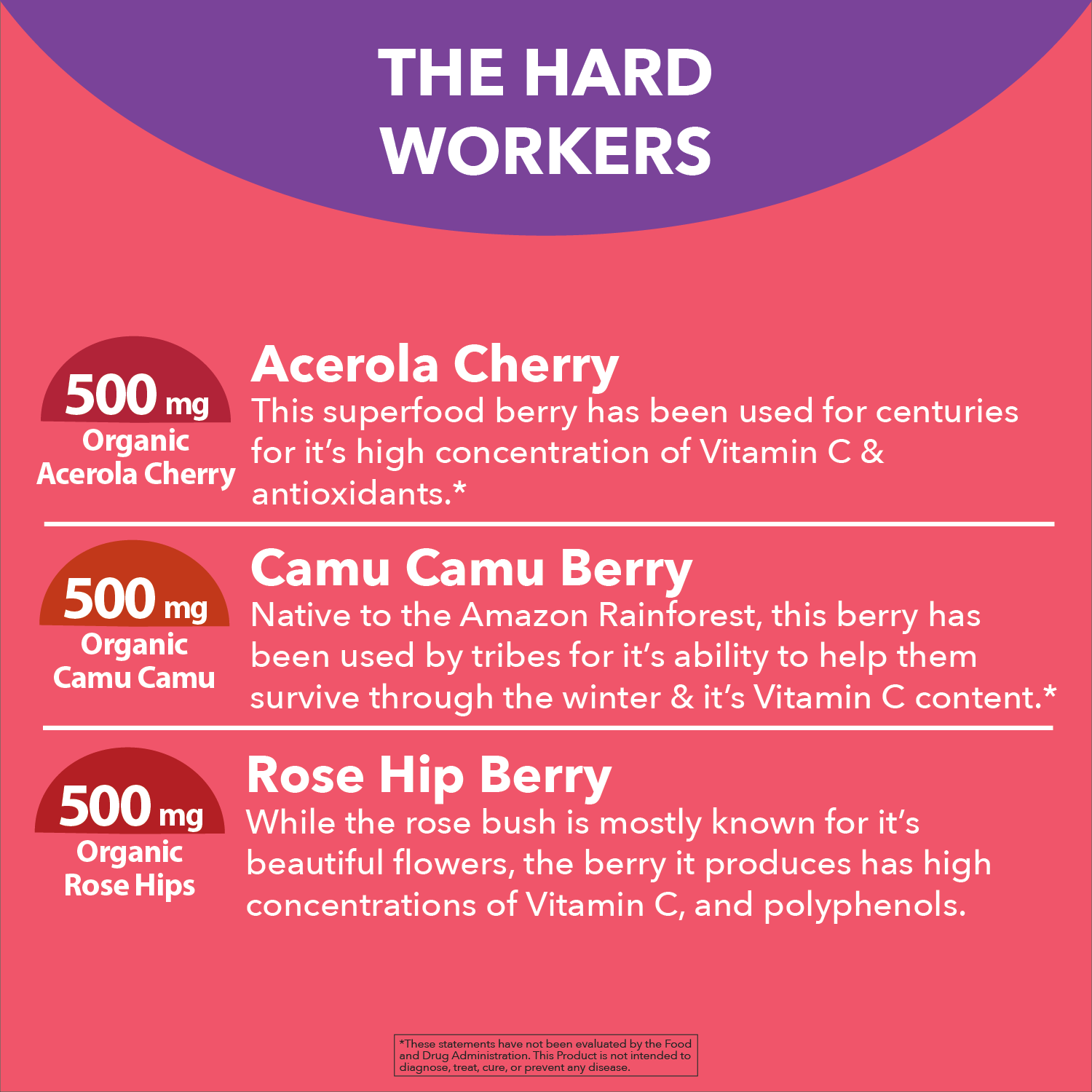 Wholefood Vitamin C from Acerola Cherry, Camu Camu & Rose Hips