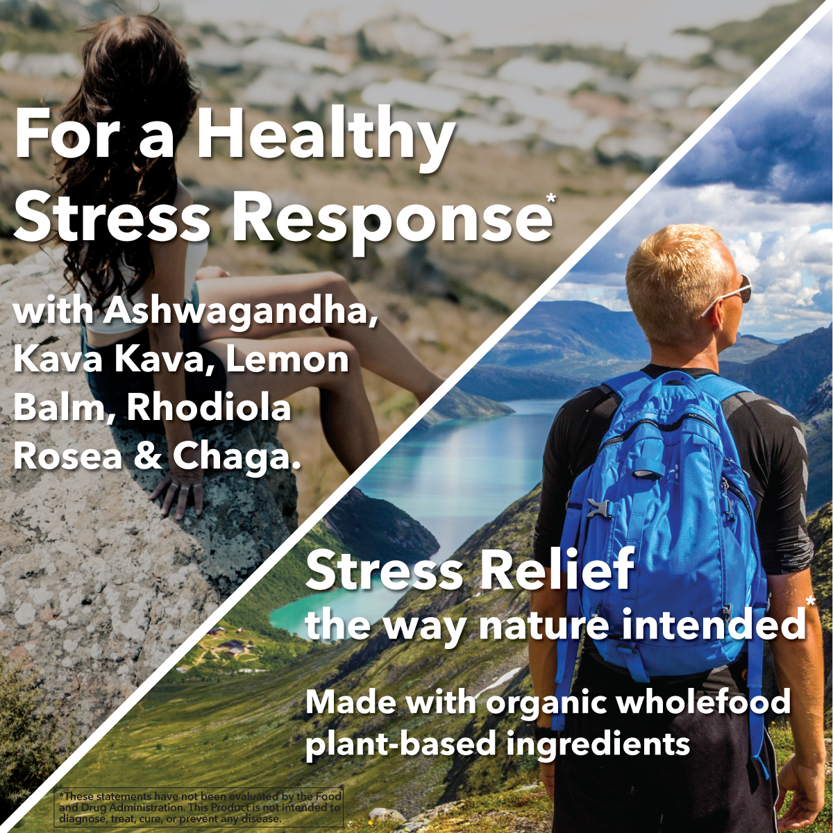 Wholefood Stress Support